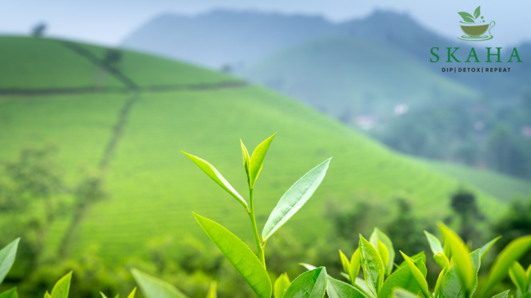 Natural Detox Made Easy: How Skaha Detox Teas Support Digestion and Overall Wellness